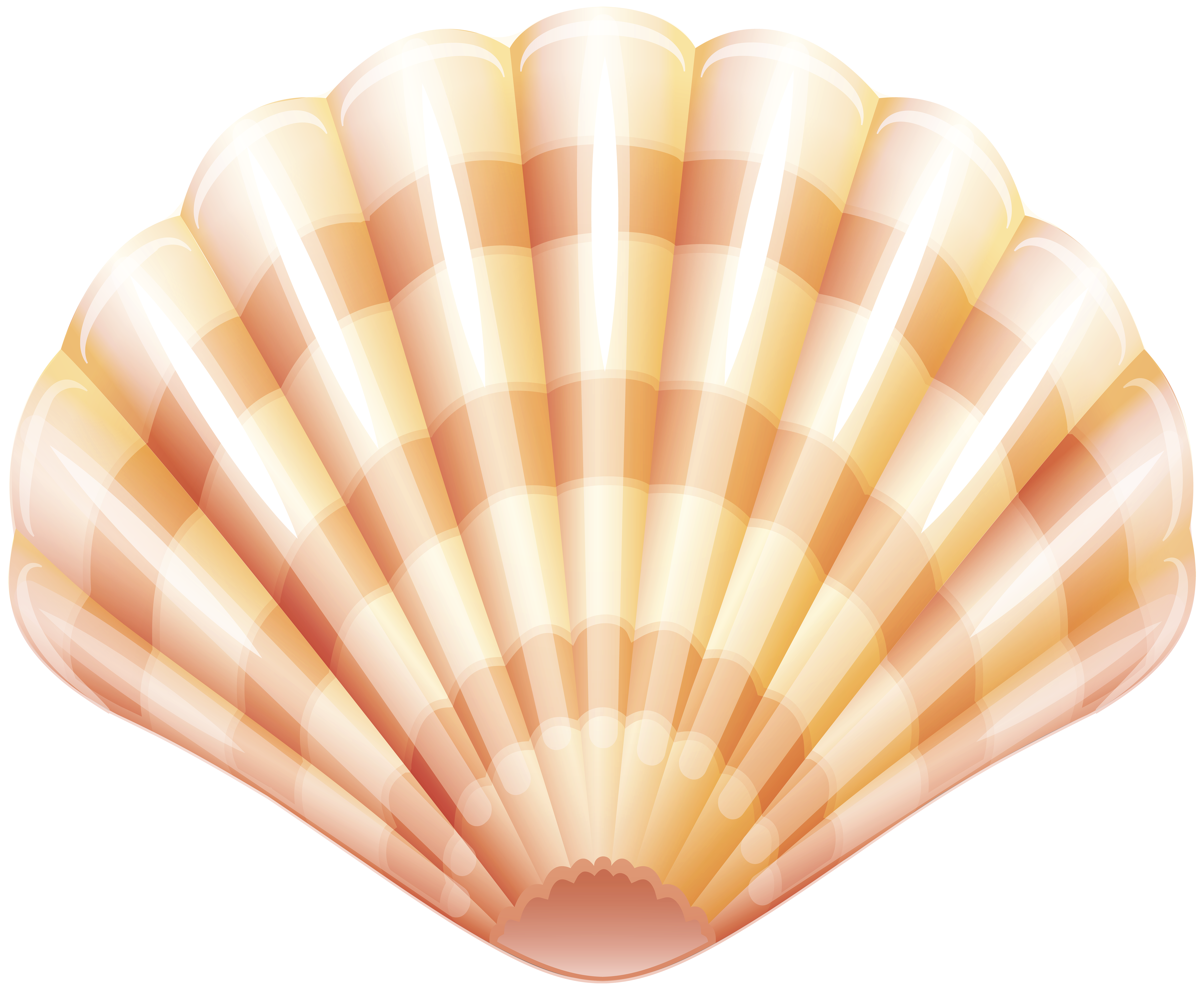 Clam clipart shell fish. Seafood lobster shellfish mussel