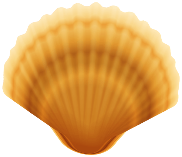 Clam clipart shell fish. Transparent png image gallery