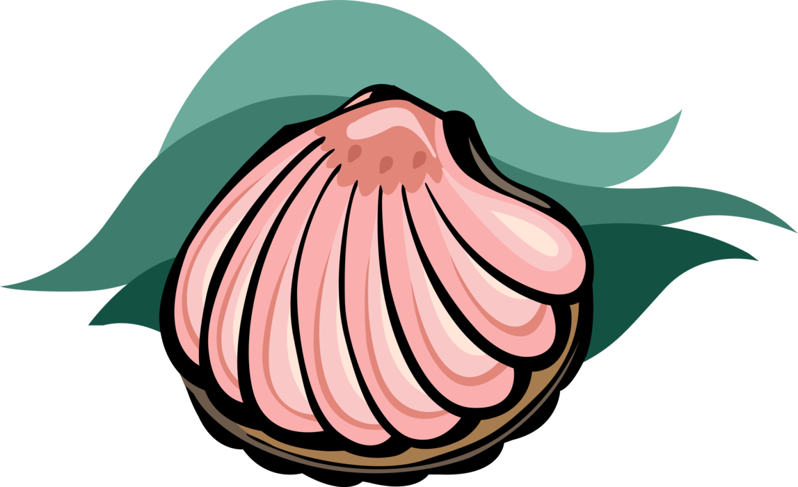clam clipart shell group