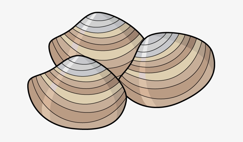 clam clipart transparent