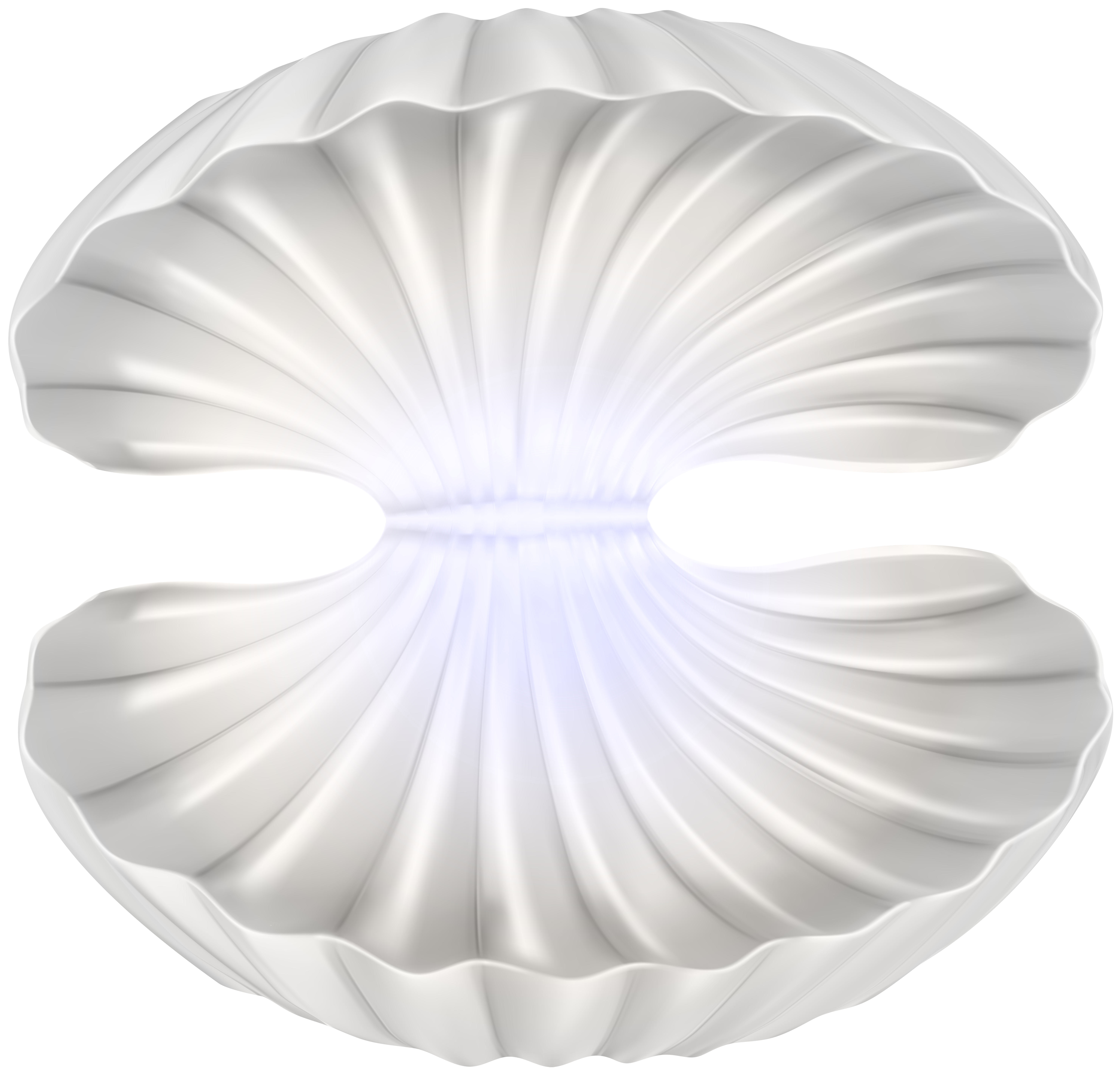 clam clipart transparent