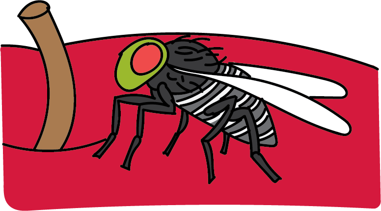 Mosquito clipart stung. The uncanny orchard graph