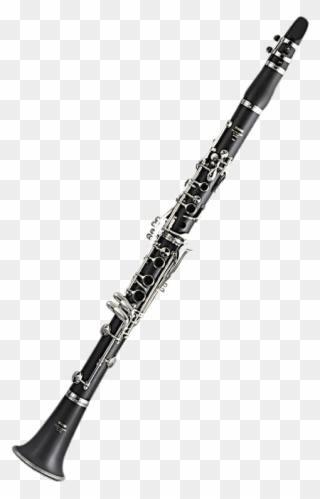 Drawing clarinete yamaha ycl. Clarinet clipart beautiful