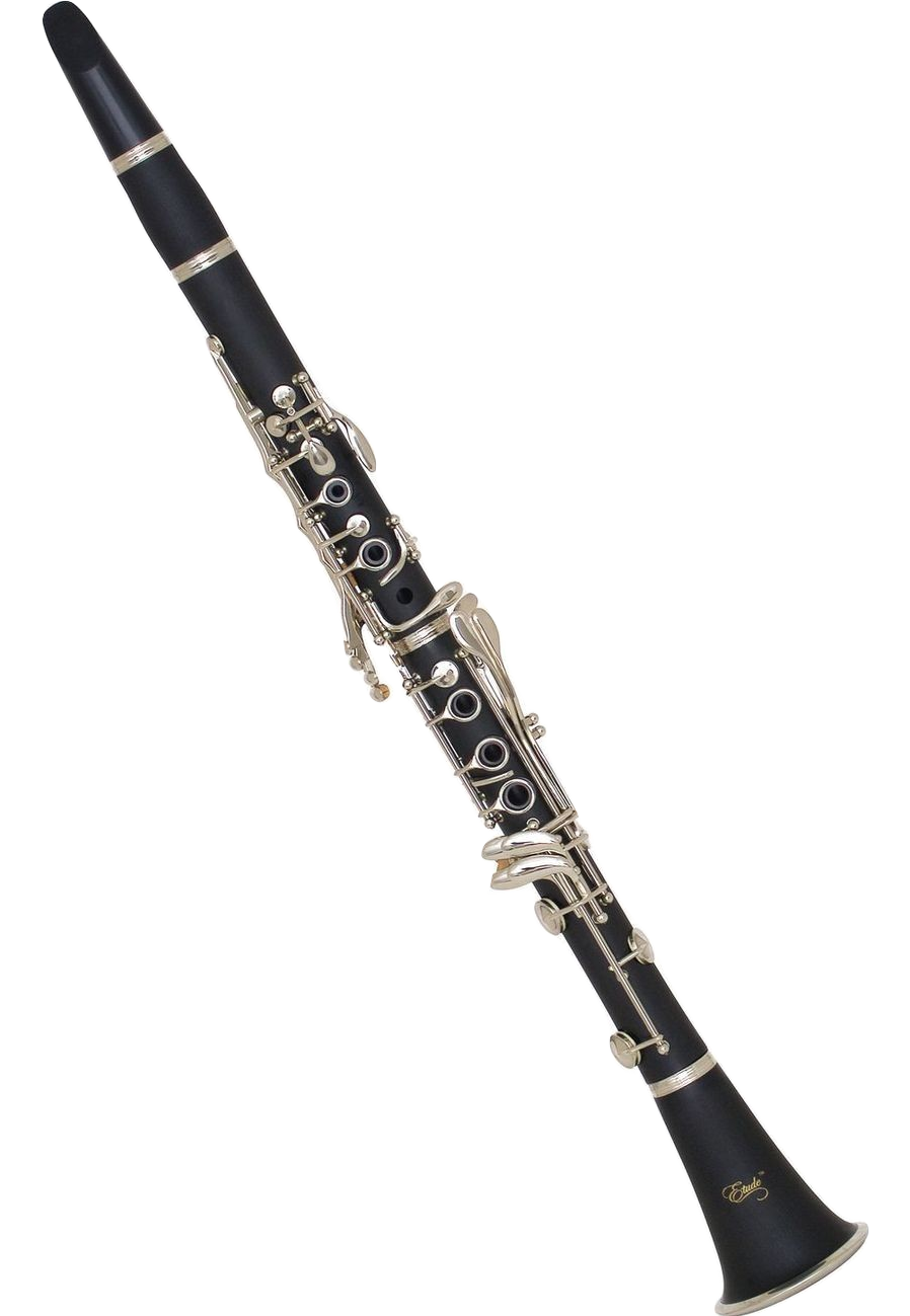 Clarinet clarinet player