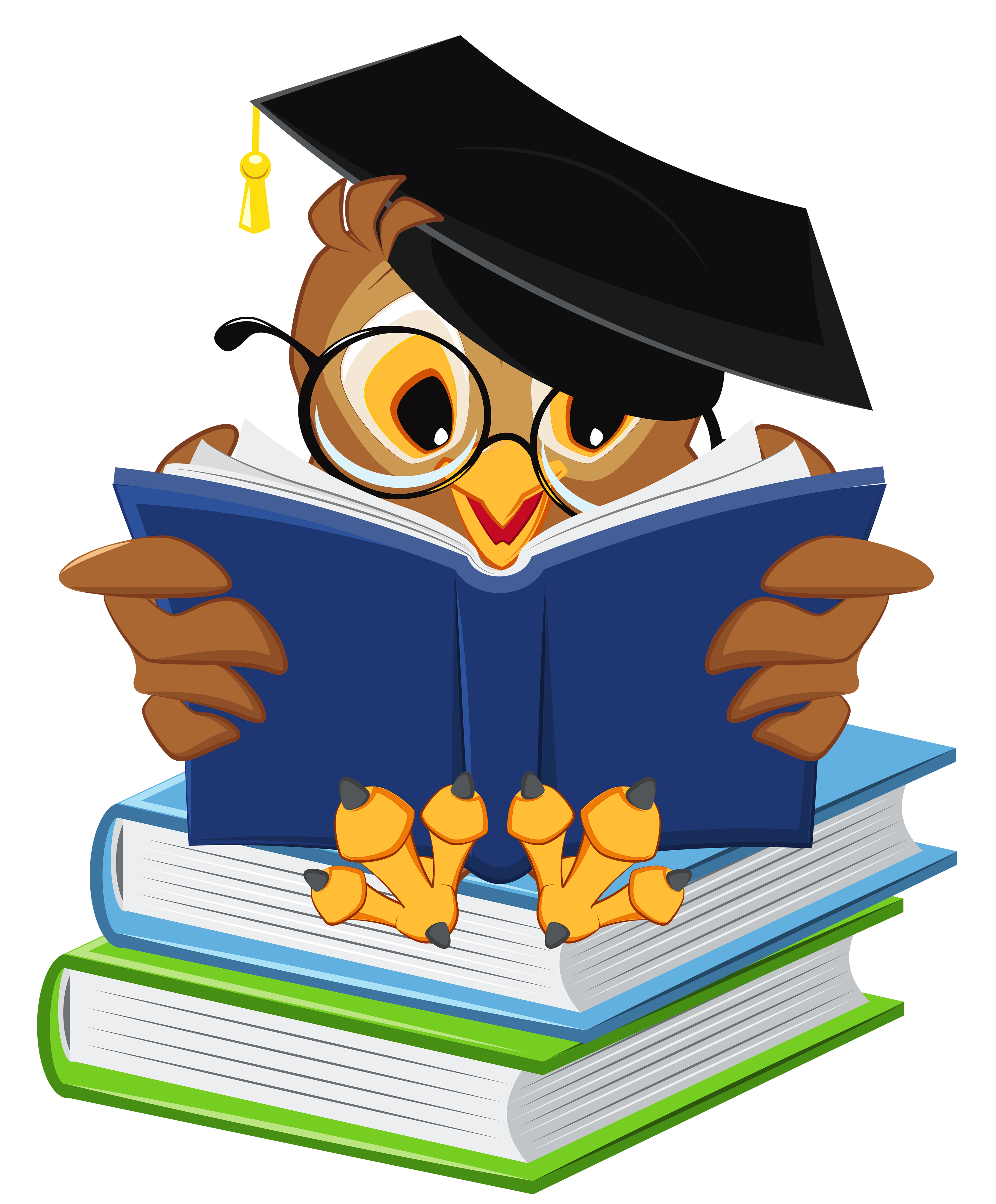 Owl with school books. Scroll clipart programme