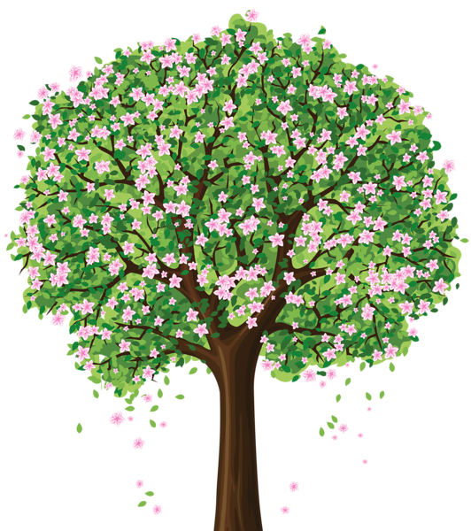 Decorative clipart autumn tree branch. Spring png crafting trees