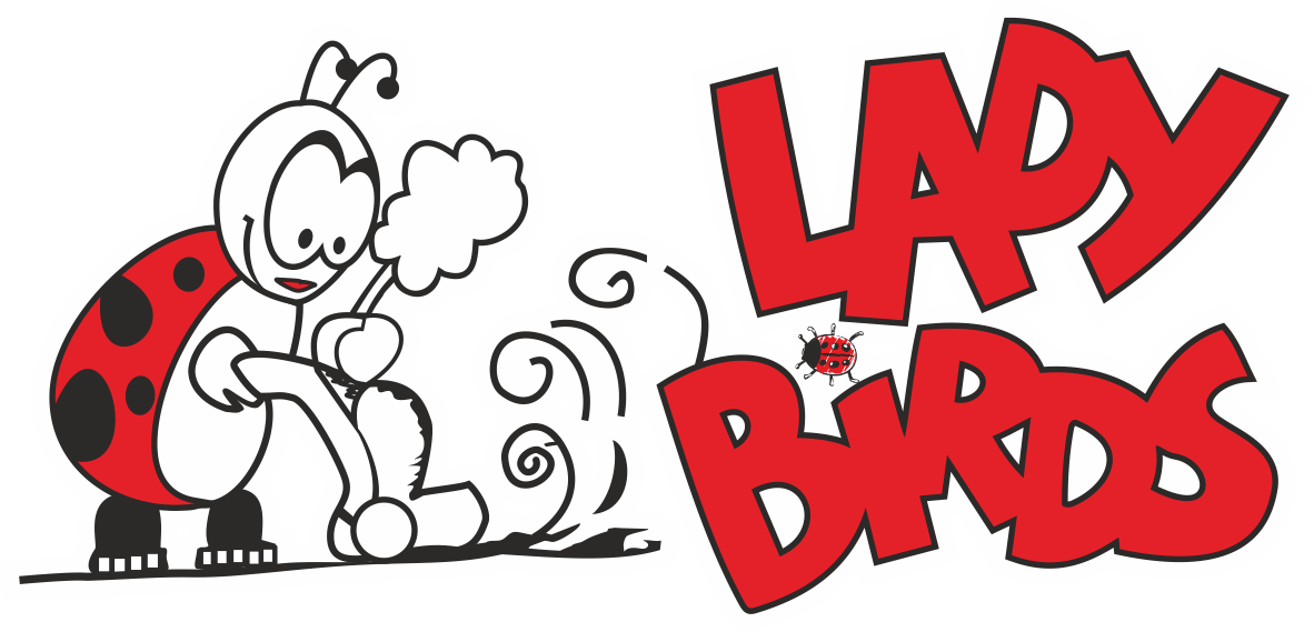 Clean clipart industrial. Ladybirds cleaning services domestic
