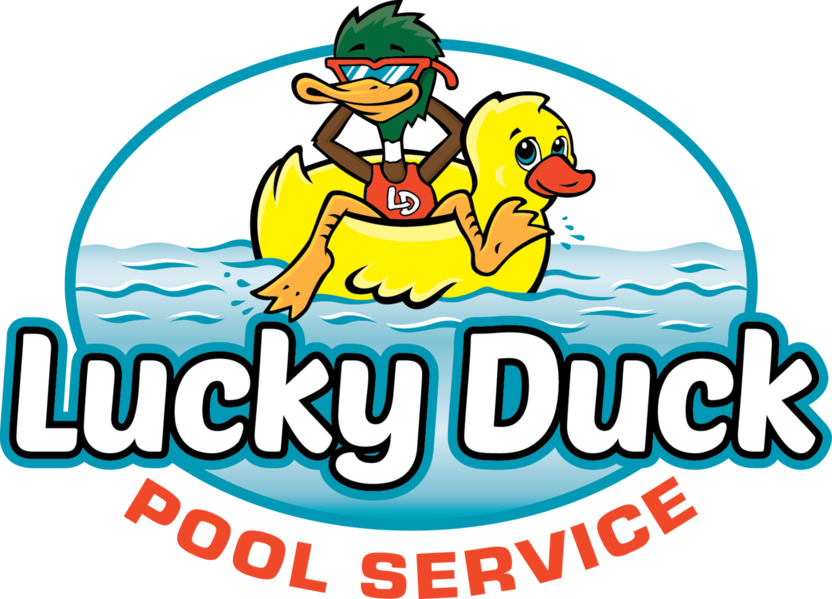 Lucky duck pool service. Ducks clipart swimming