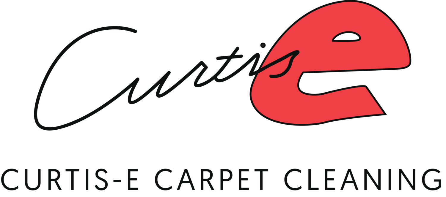 clean clipart vacuum carpet