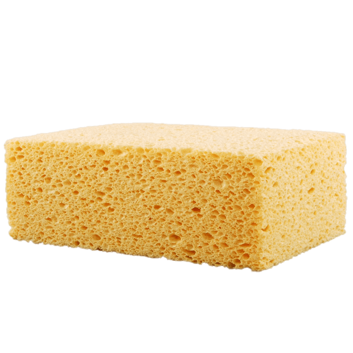 soap clipart soap sponge