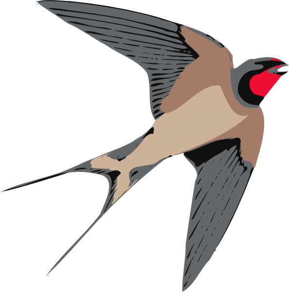 falcon clipart sparrow