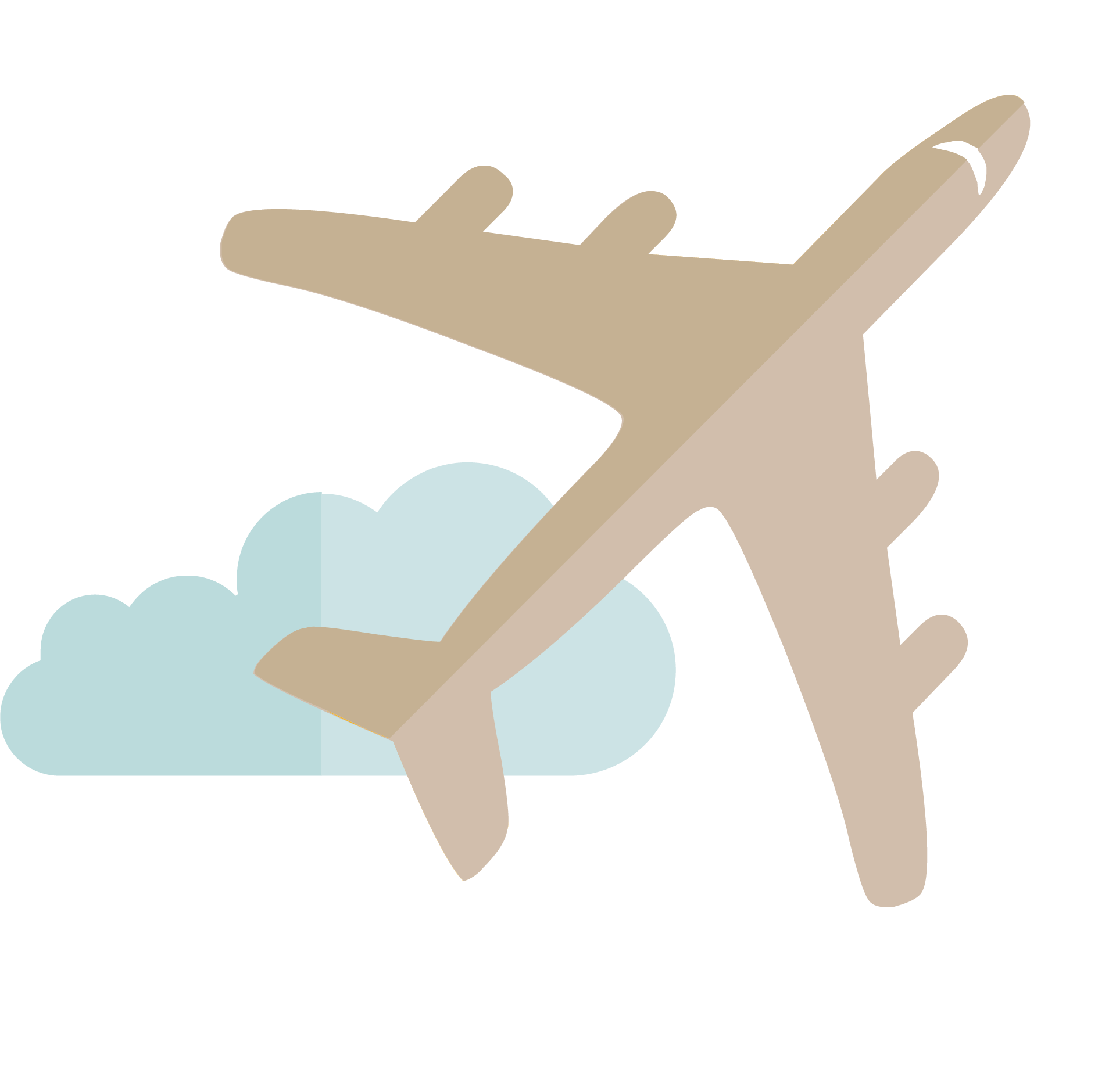 airplane icon