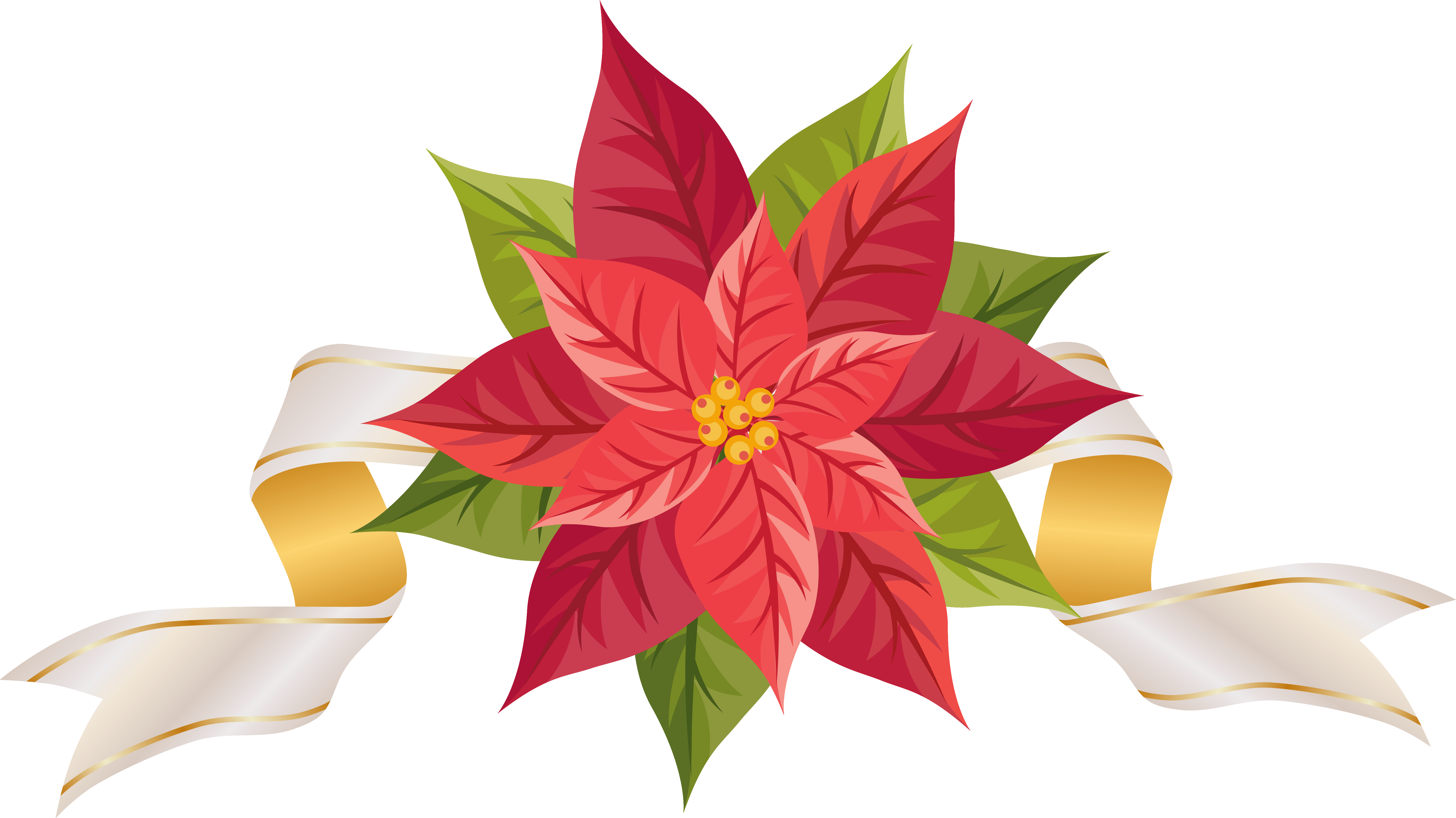 With ribbon png image. Poinsettia clipart cute