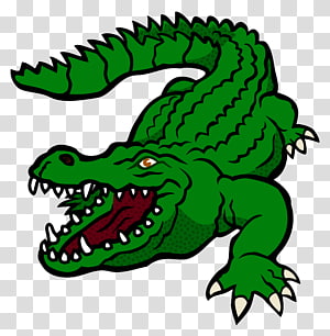 clipart alligator cocodrilo