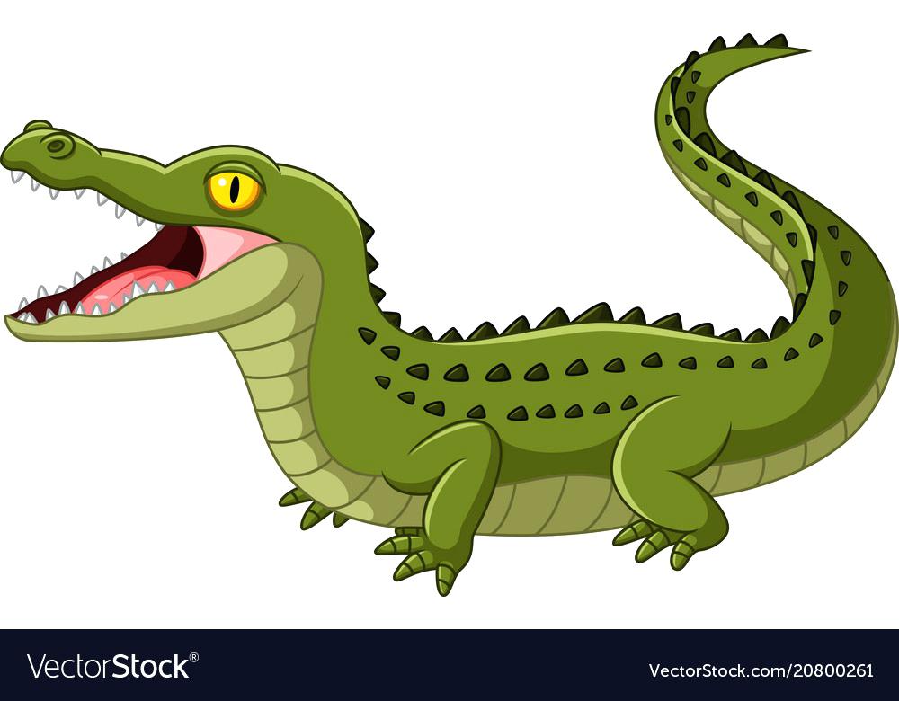clipart alligator green object
