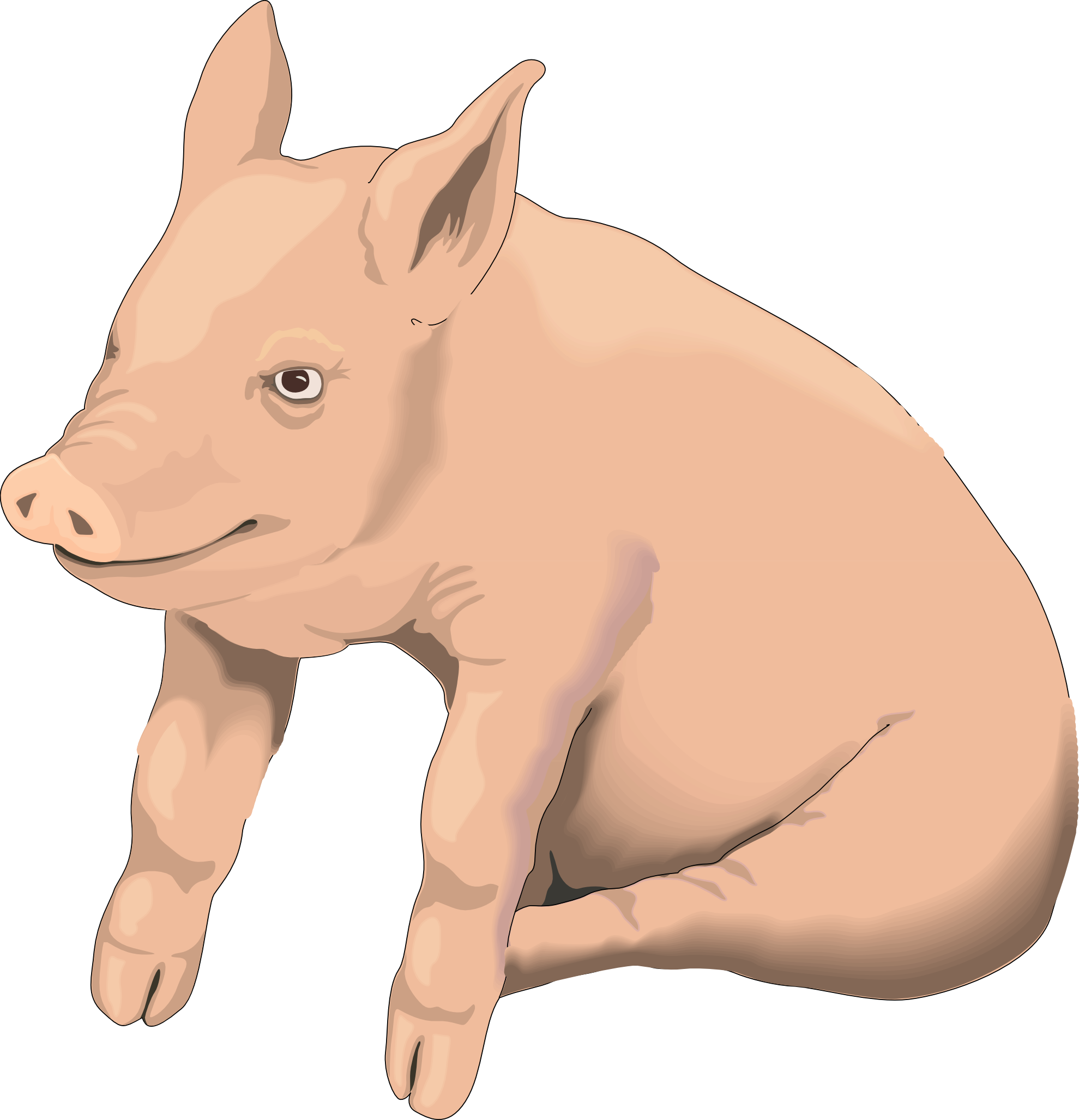 pig clipart shadow