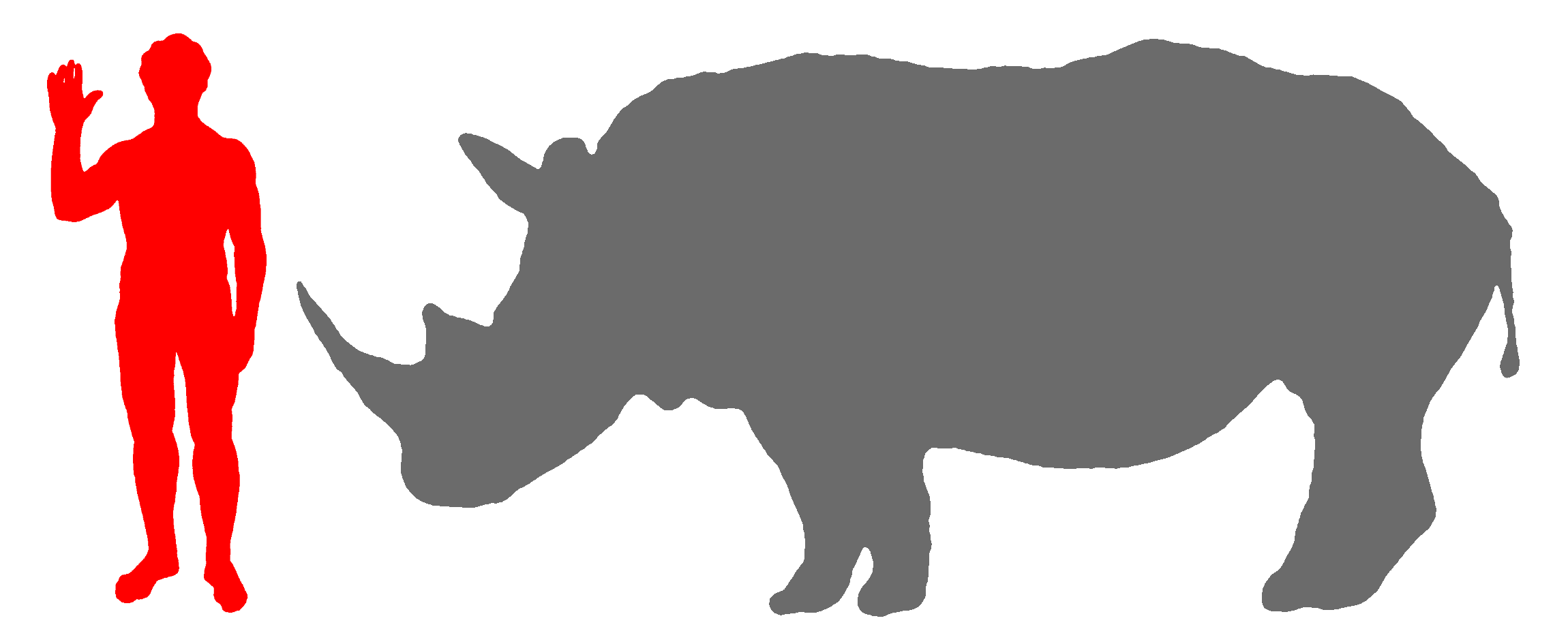 Footprint rhino