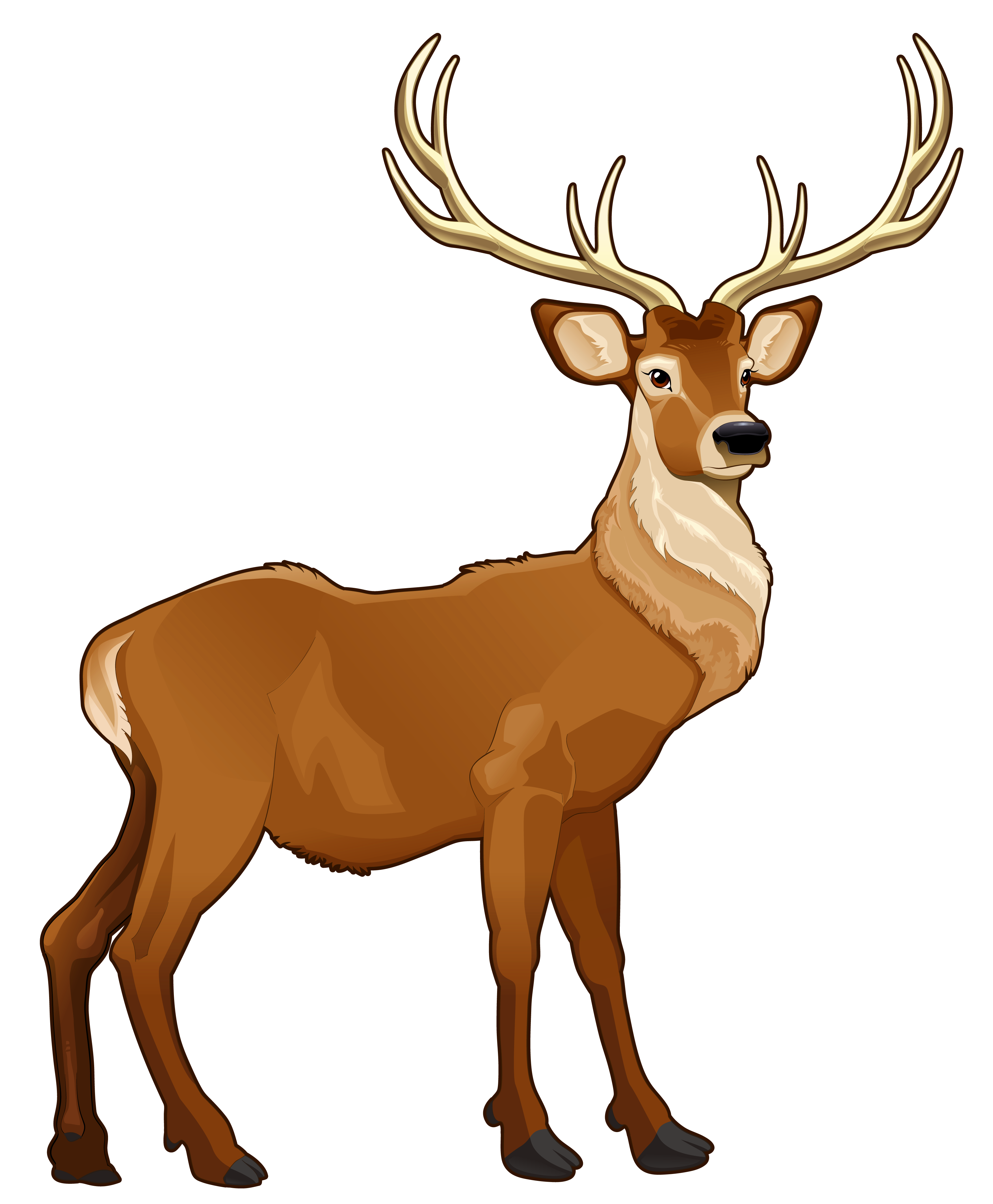 Brown png picture animals. Clipart reindeer pretty