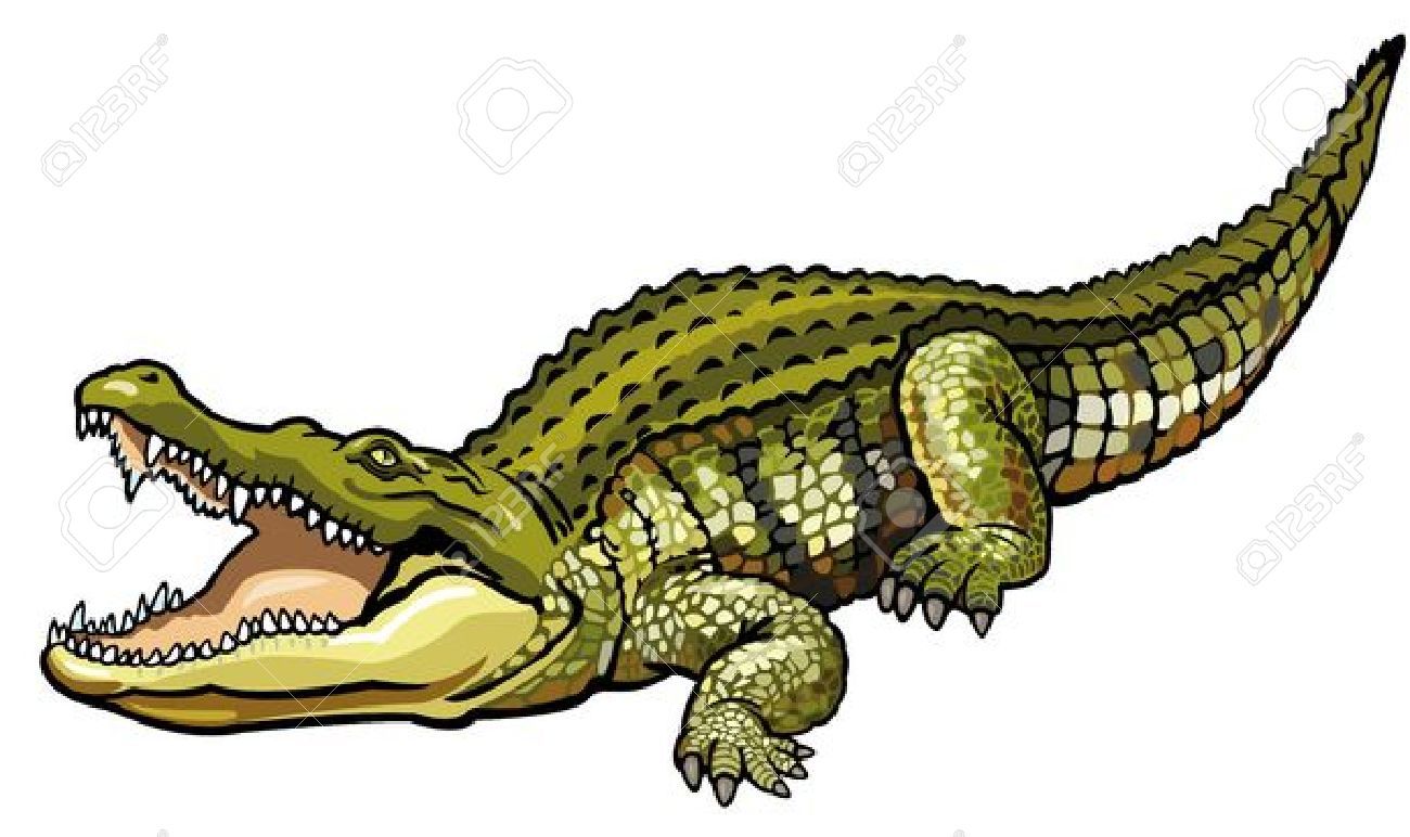 crocodile clipart wild
