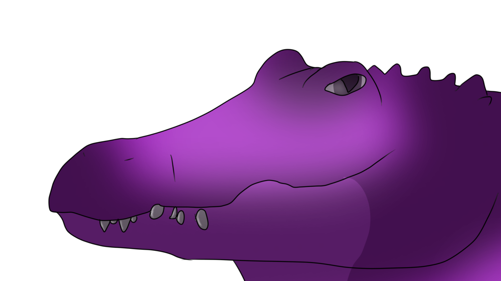 Alligator purple
