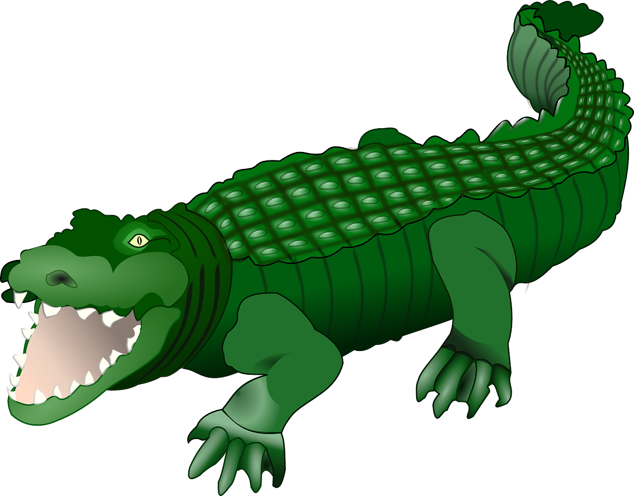 clipart alligator swamp animal