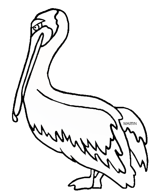 Clipart alligator swamp louisiana. Brown pelican