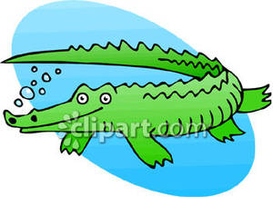 clipart alligator swimming