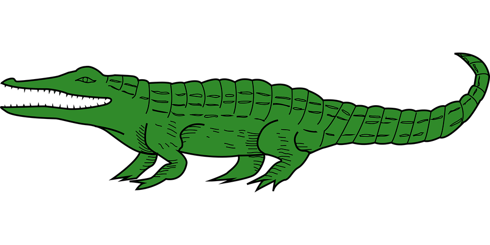 Gator clipart vector. Crocodile free png transparent