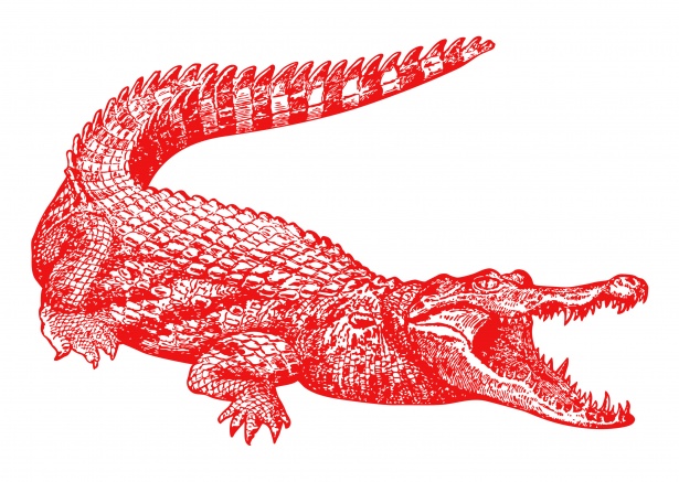 crocodile clipart red