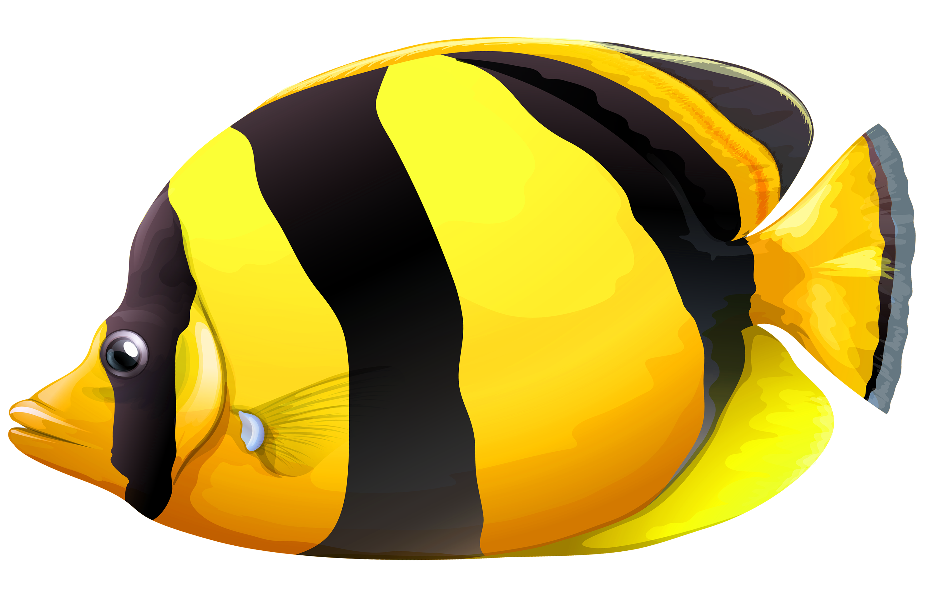 Wagon clipart yellow. Chaetodon butterfly fish png