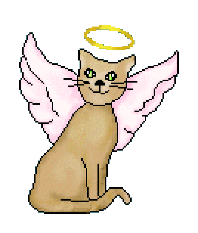 clipart cat angel