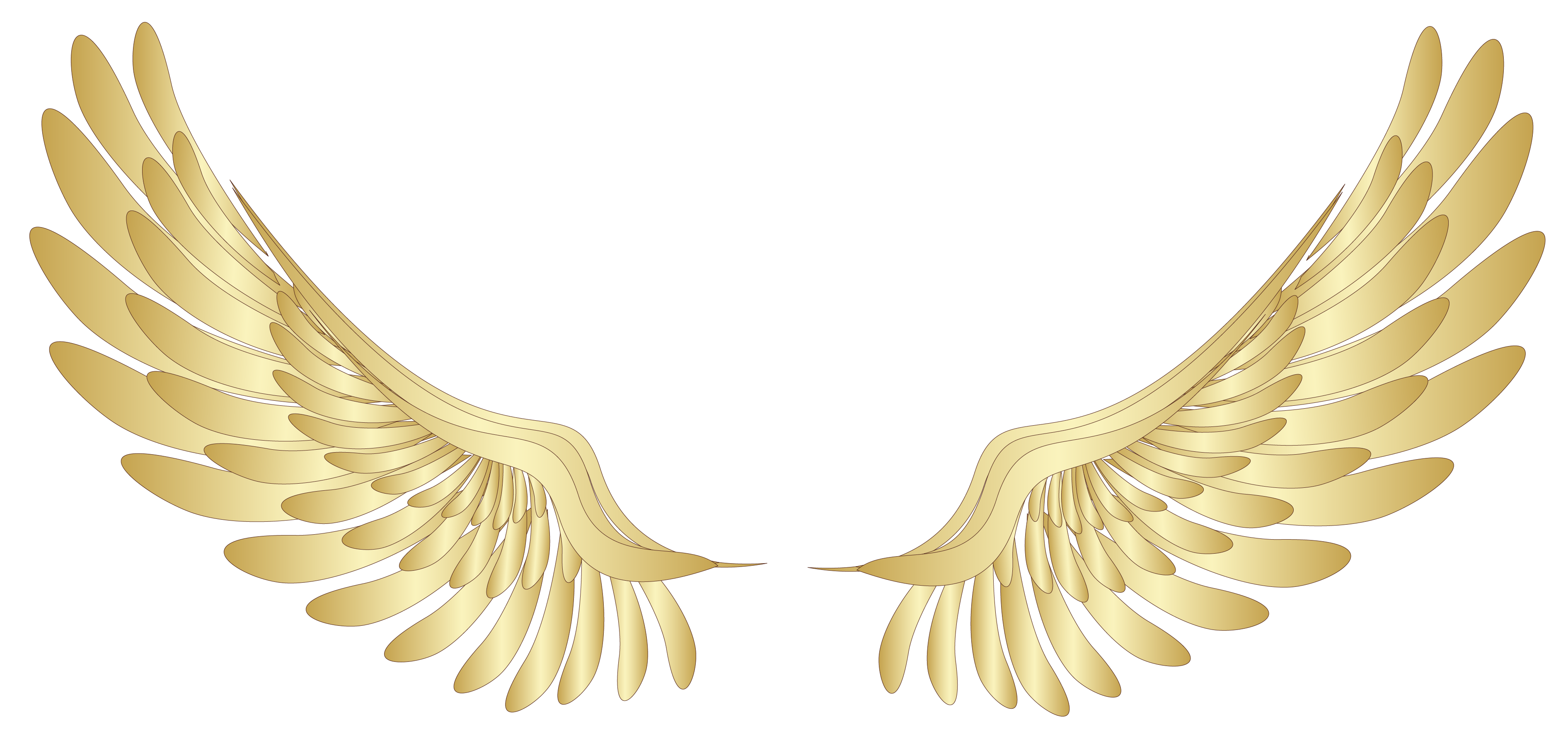 Golden wings png pinterest. Wheat clipart decoration
