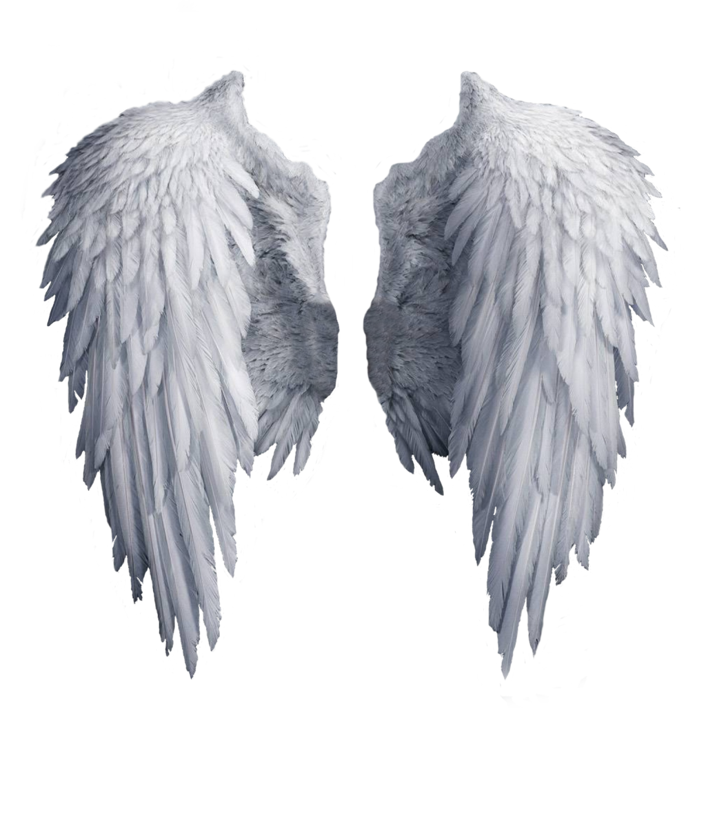 Clipart angel realistic. Wings drawing at getdrawings