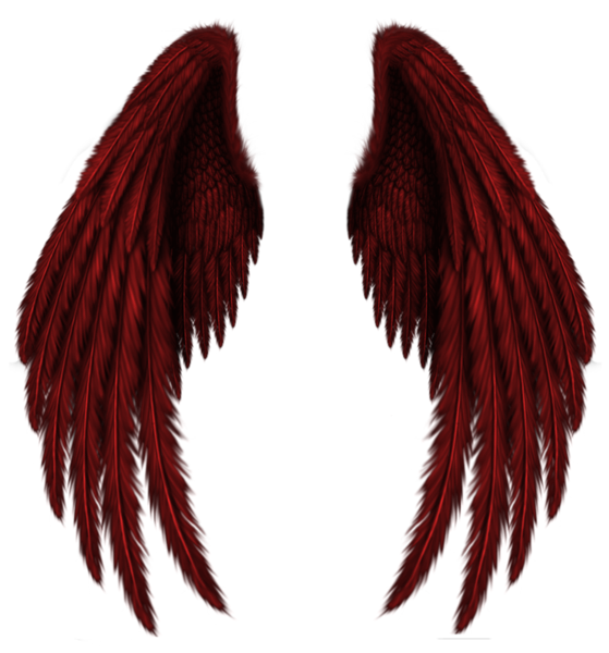 Transparent red wings png. Clipart angel side view