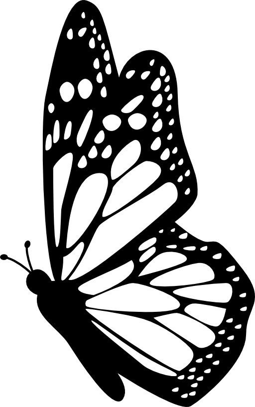  collection of butterfly. Clipart angel side view