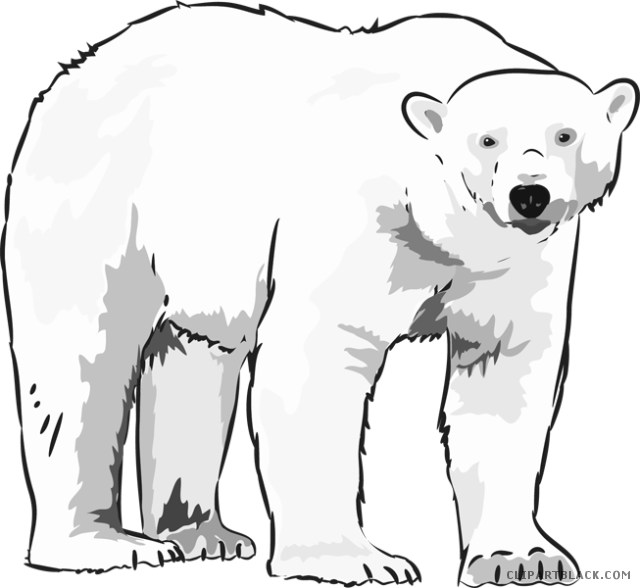 Clipartblack com animal free. White clipart polar bear
