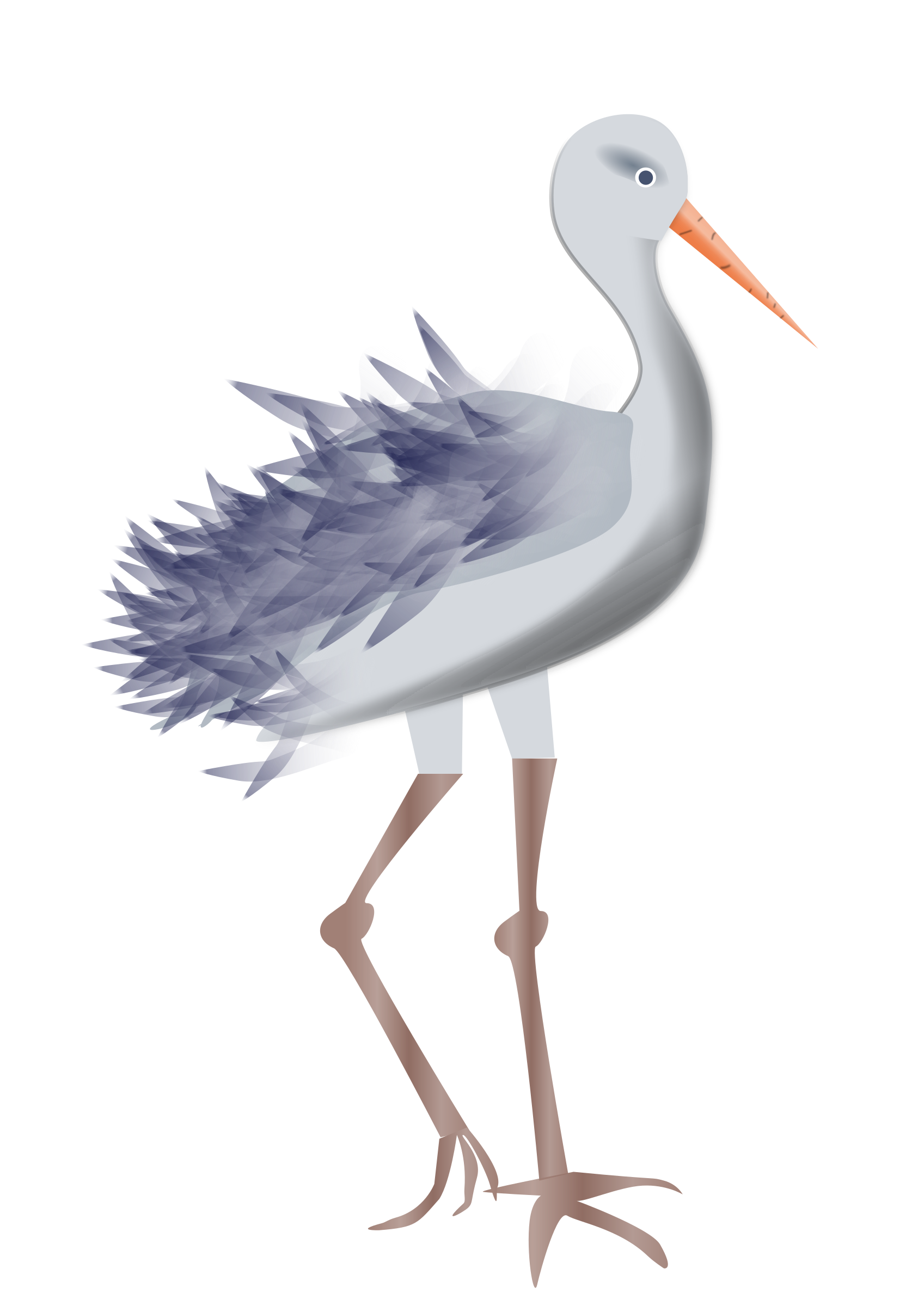legs clipart bird