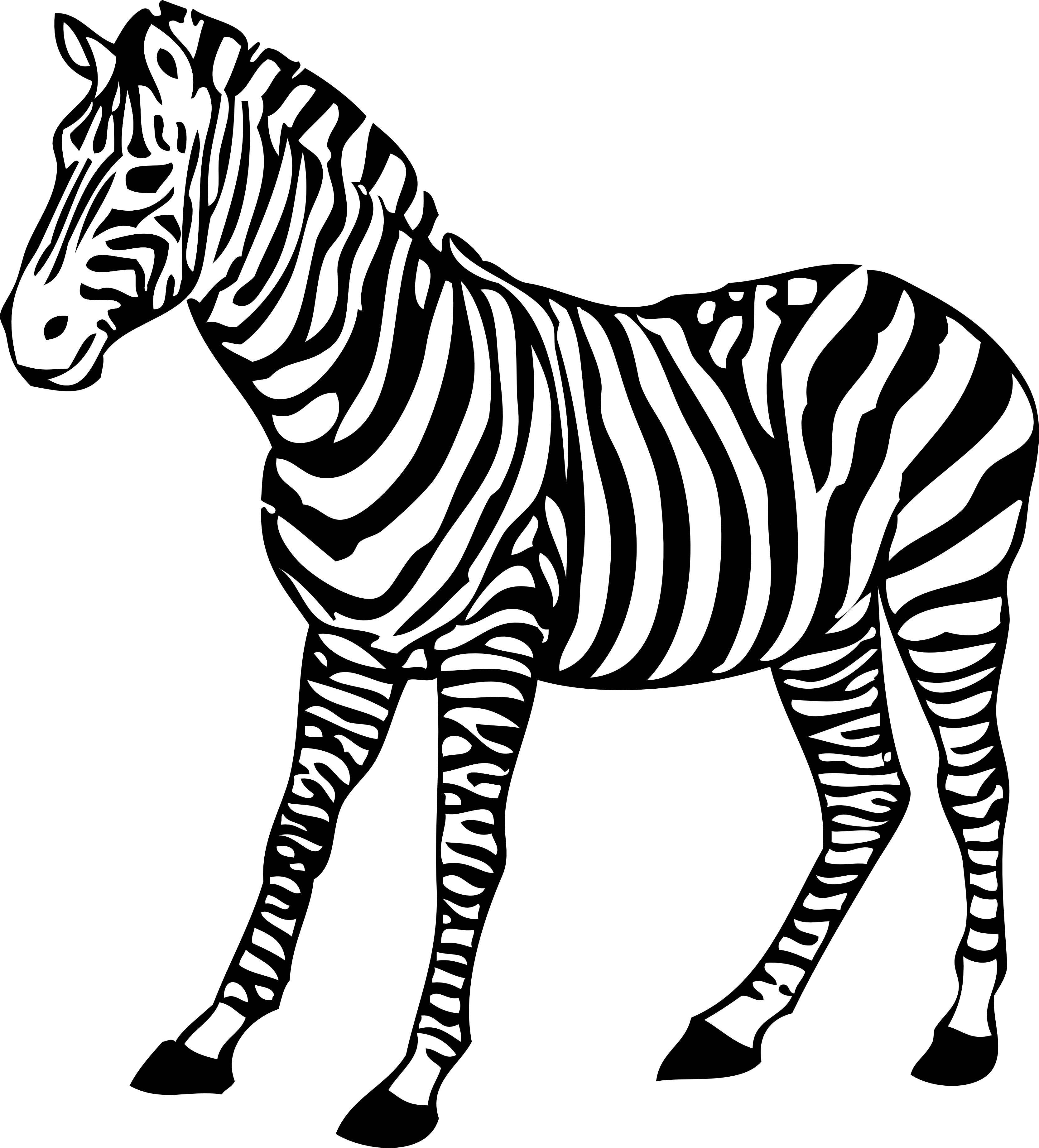 Black and white animal. Clipart zebra family