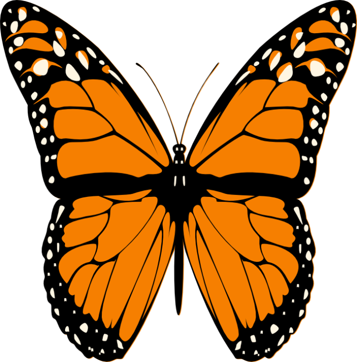 field clipart butterfly
