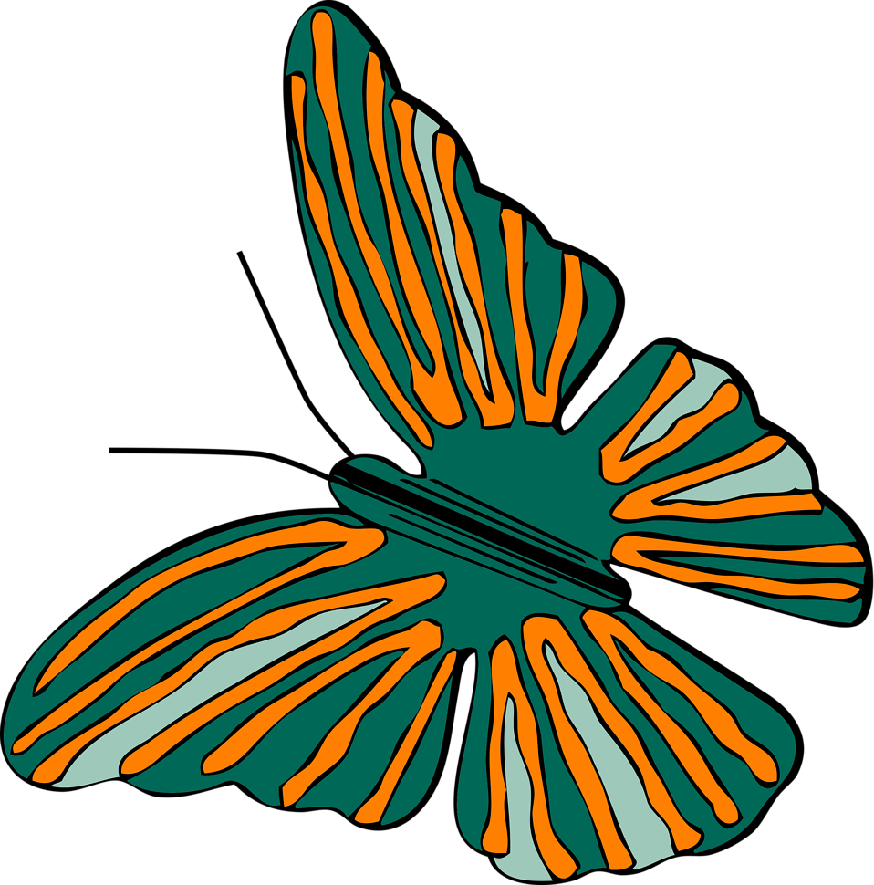 clipart animals butterfly