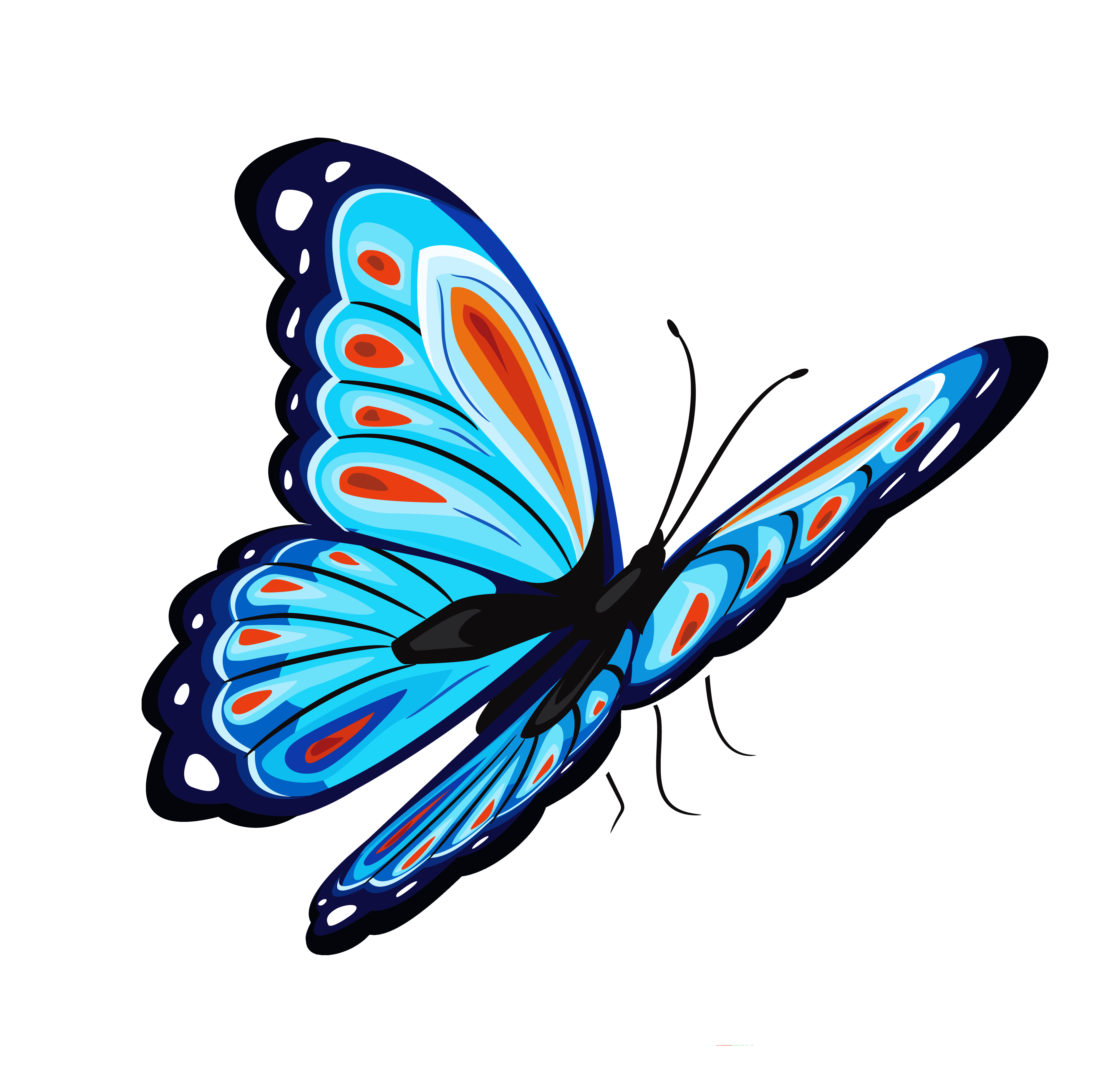 cycle clipart butterfly egg clipart