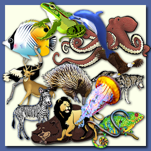 clipart animals collage