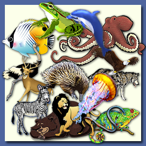 Annie s resource attic. Clipart animals collage