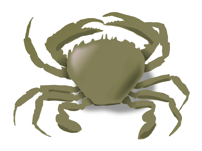 clipart animals crab