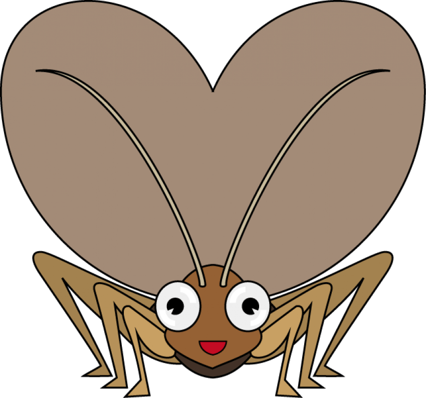 clipart animals cricket