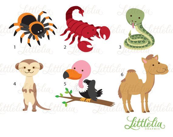 Download Desert Clipart Desert Animal Desert Desert Animal Transparent Free For Download On Webstockreview 2021 PSD Mockup Templates