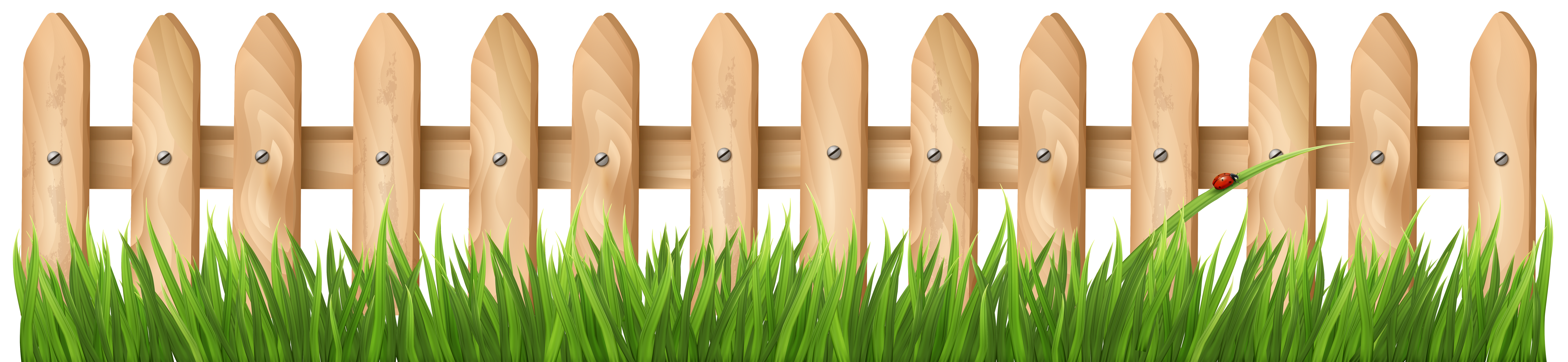 Fence with transparent png. Grass clipart shape