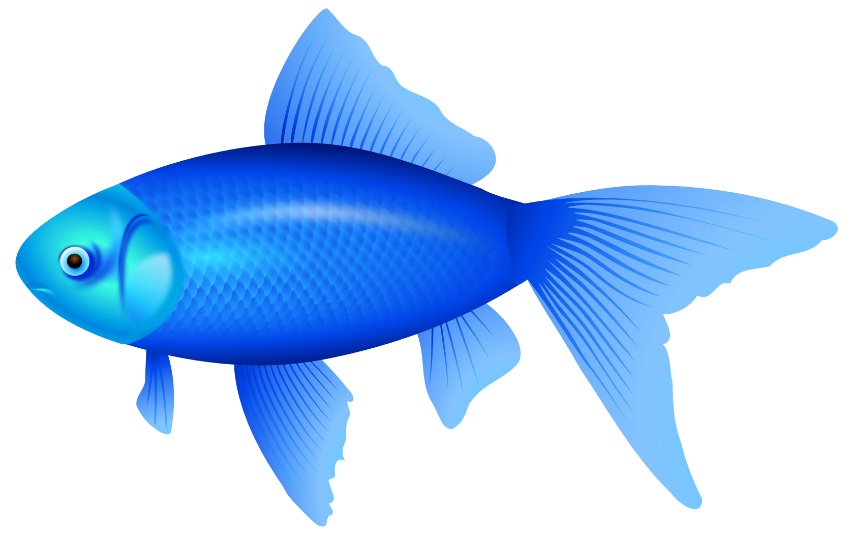 Meat Clipart Blue Fish Picture 1629098 Meat Clipart Blue Fish