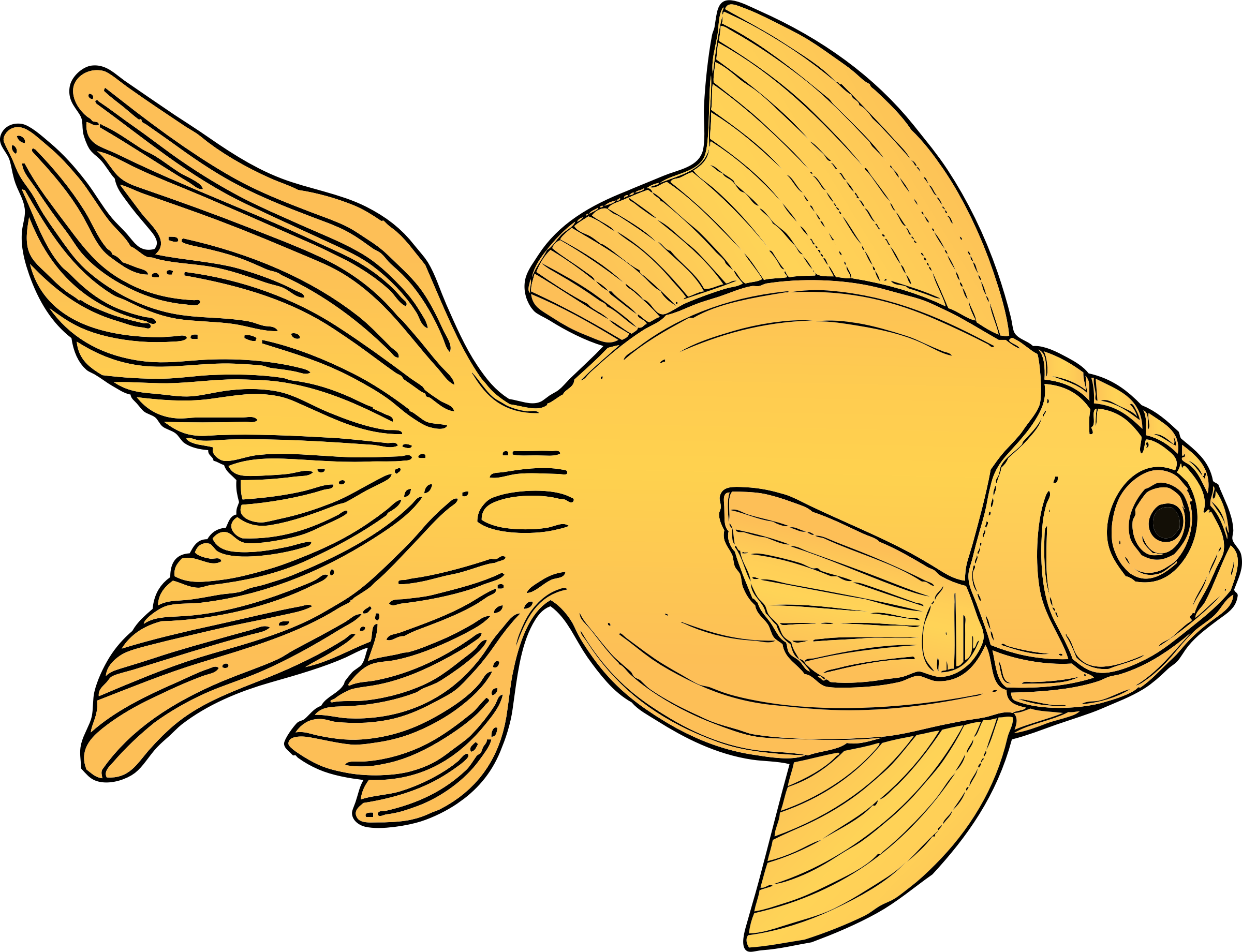 Goldfish ocean fish