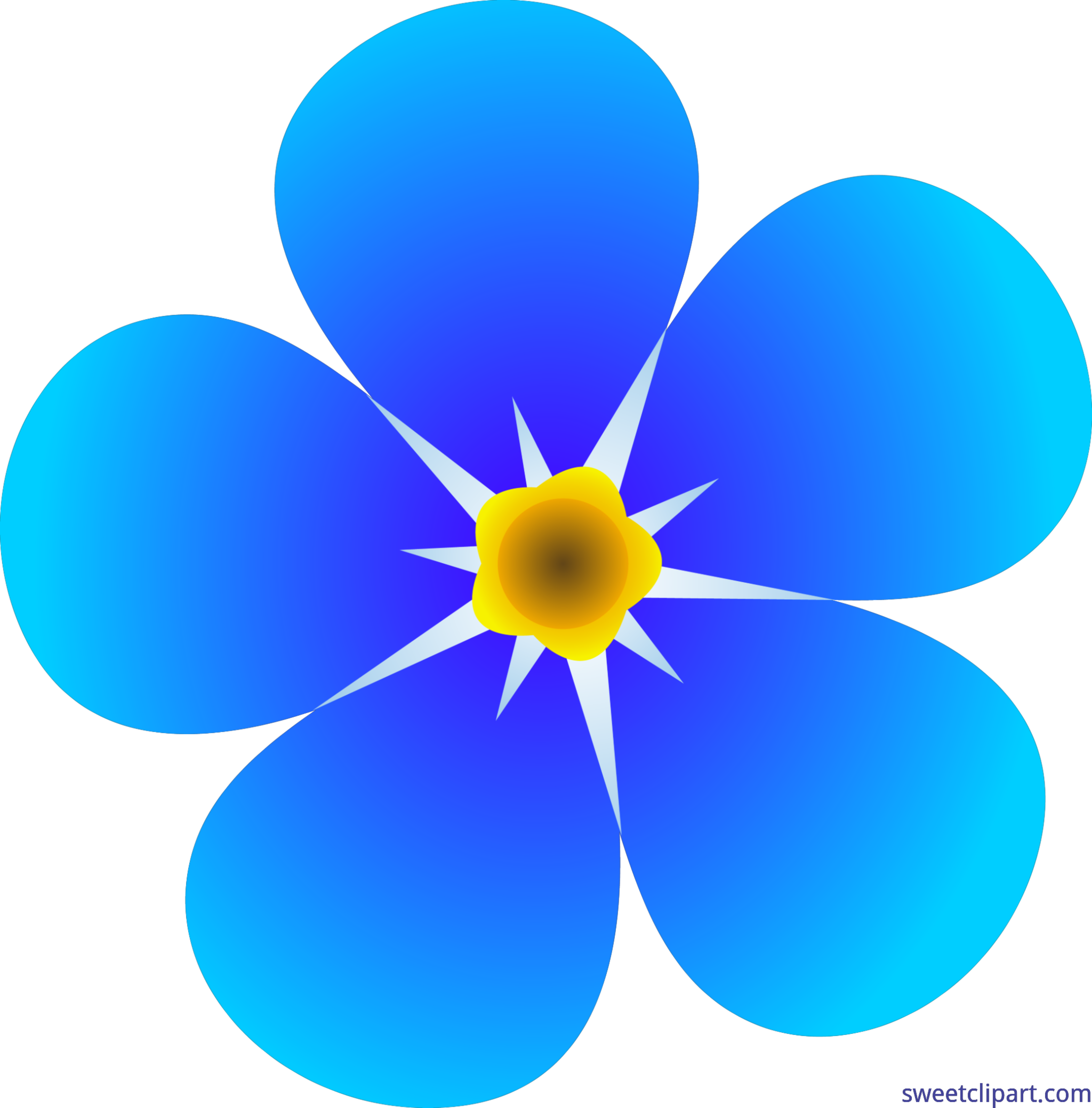 Single forget me not. Flower clip art png